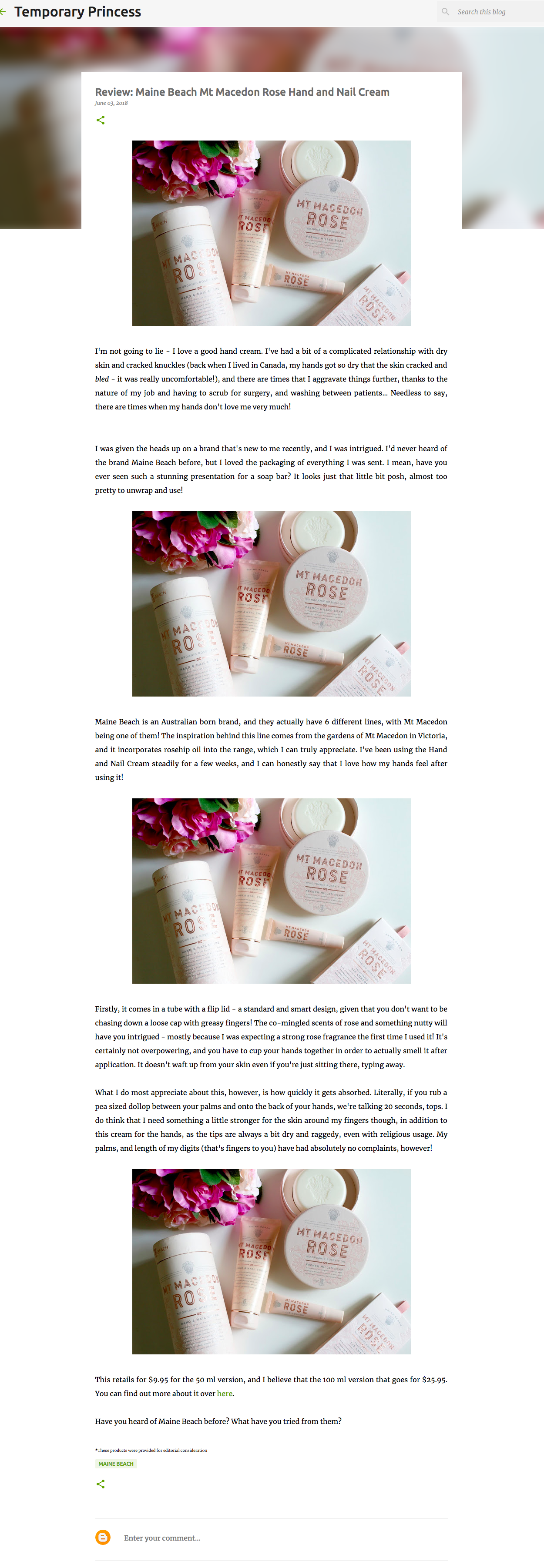 TEMPORARY PRINCESS BLOG