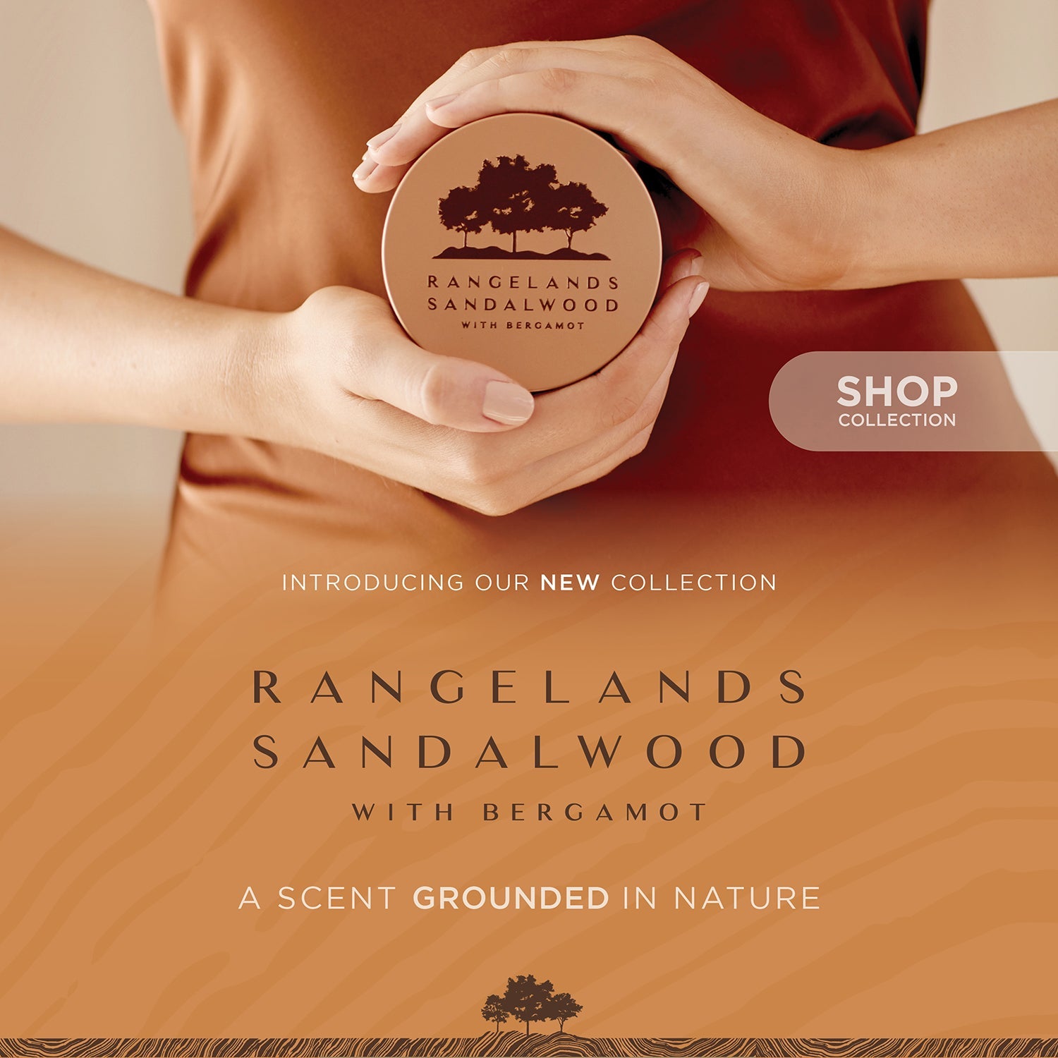 Rangelands Sandalwood