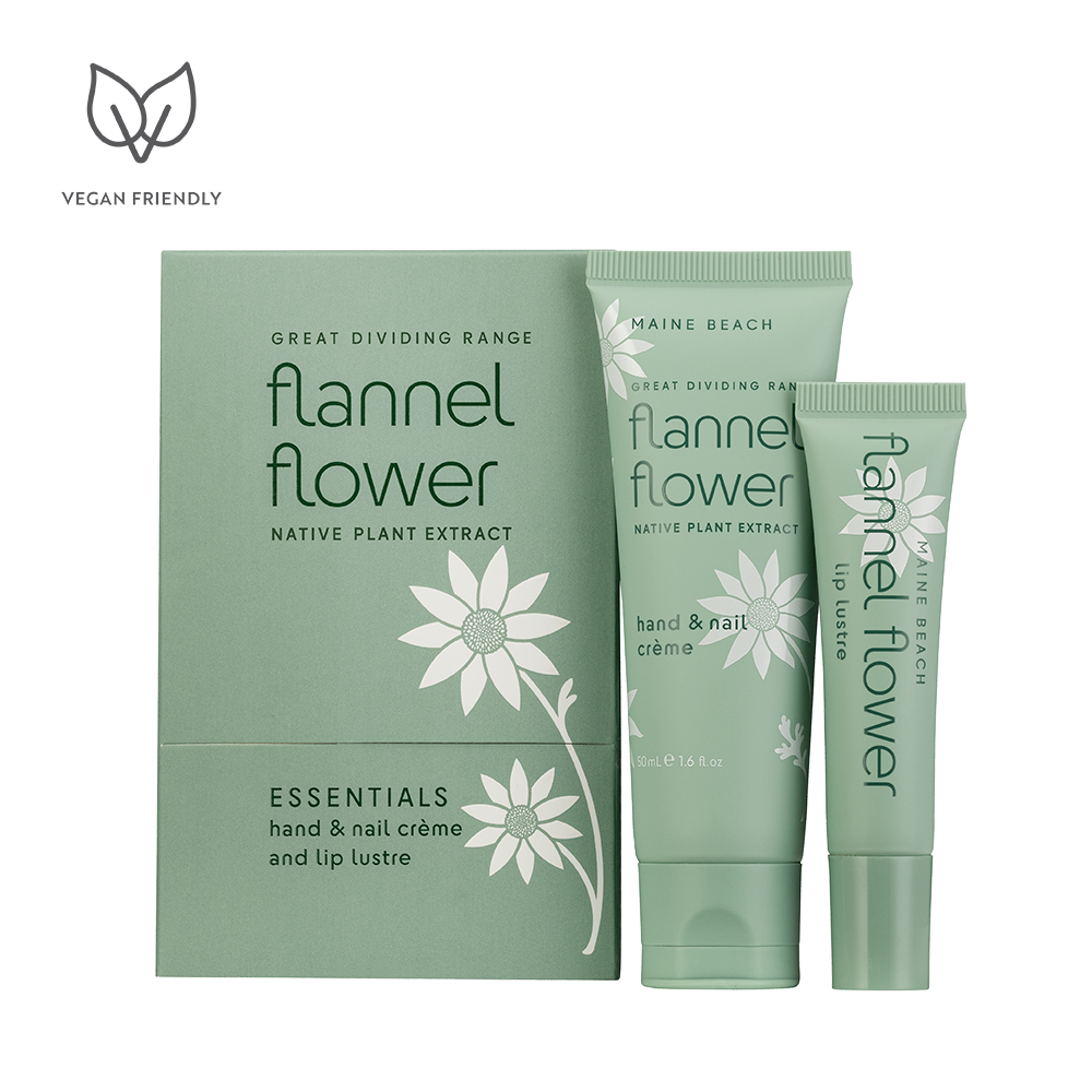 Flannel Flower - Essentials Pack